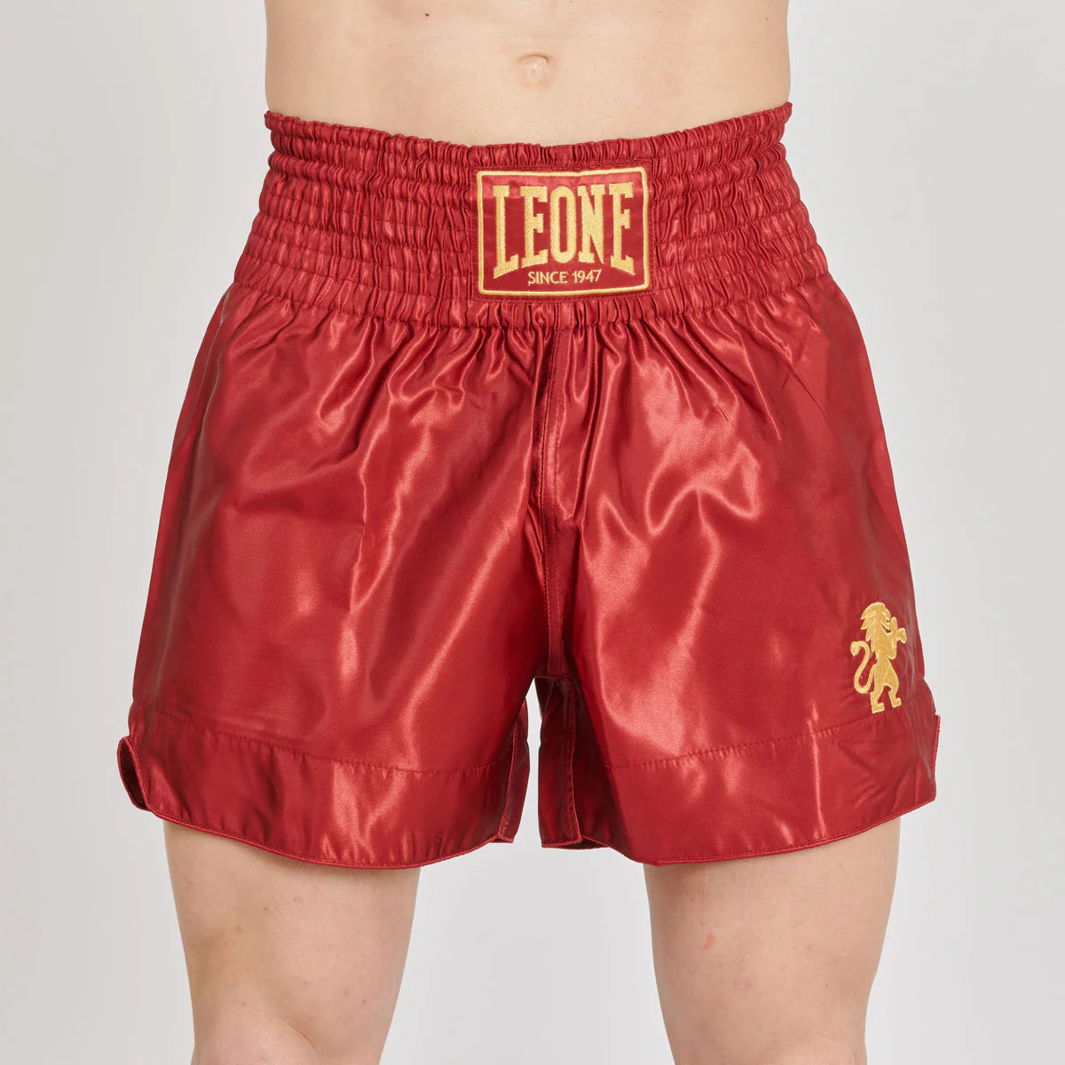 Pantaloncino KICK BASIC 2 Leone
