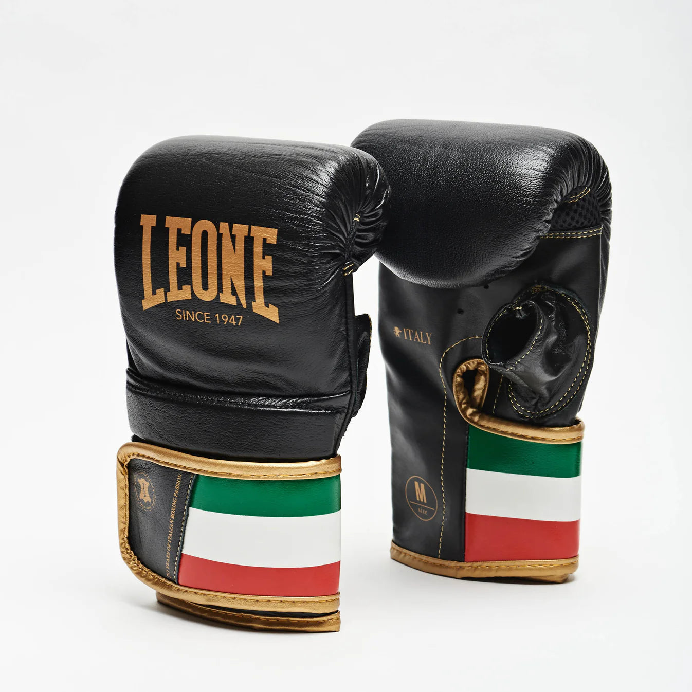 Guanto sacco ITALY Leone
