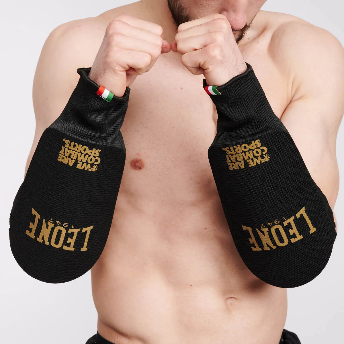 Parabraccio DNA Leone