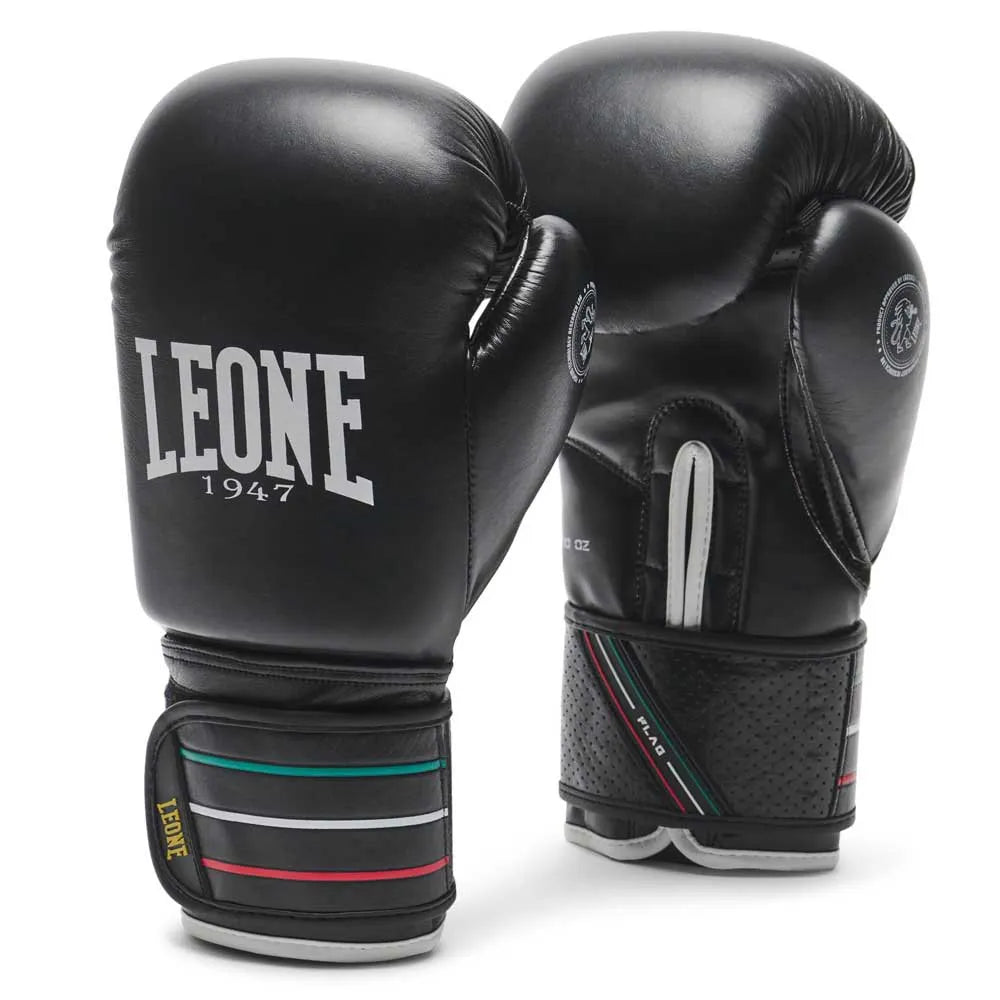 Guanto boxe FLAG Leone 14oz in pelle