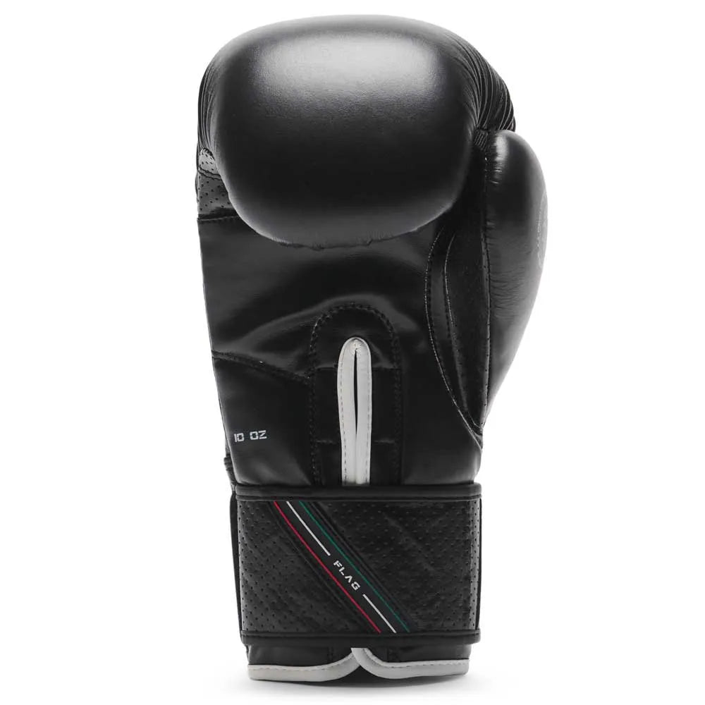 Guanto boxe FLAG Leone 14oz in pelle