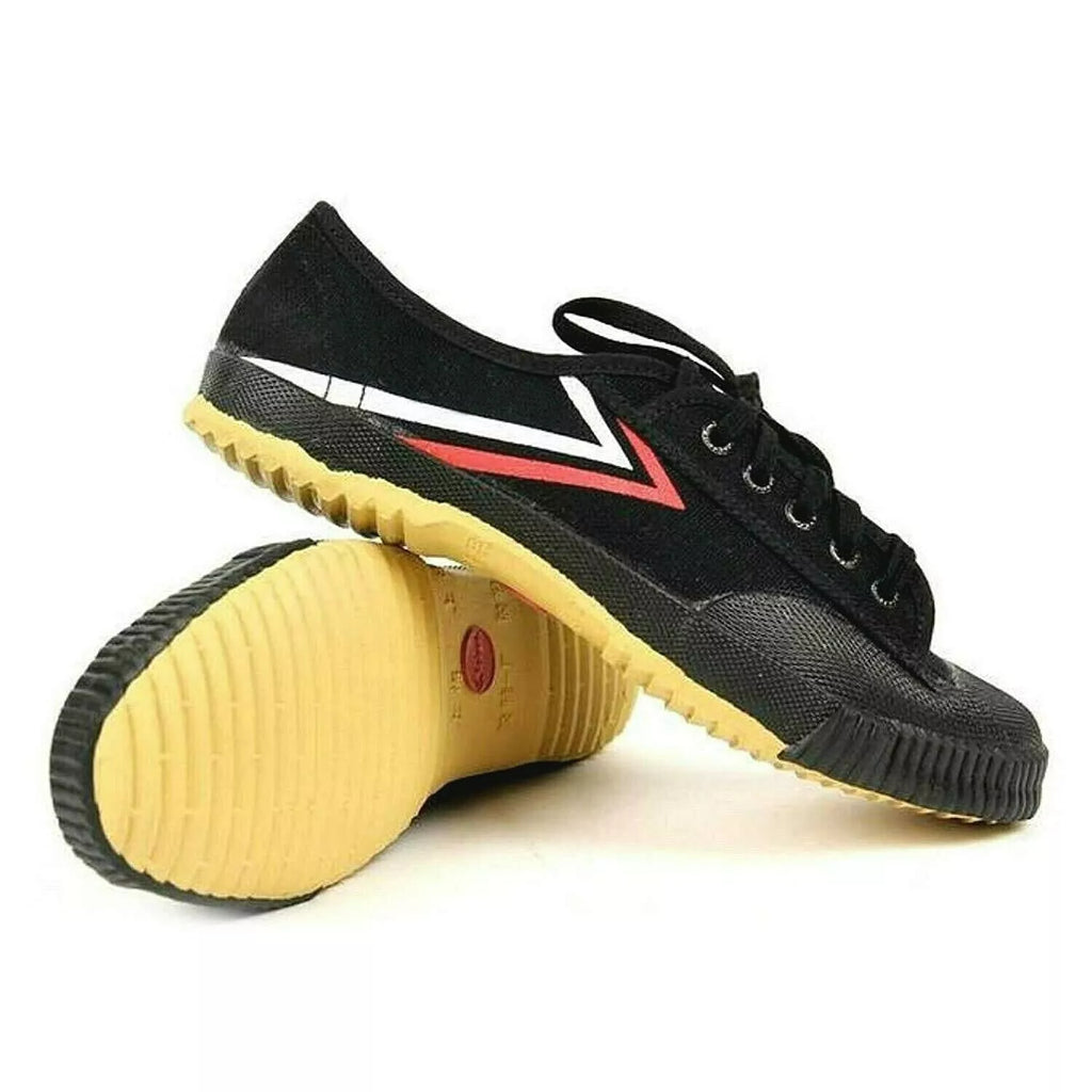 Scarpa per arti marziali FEIYUE